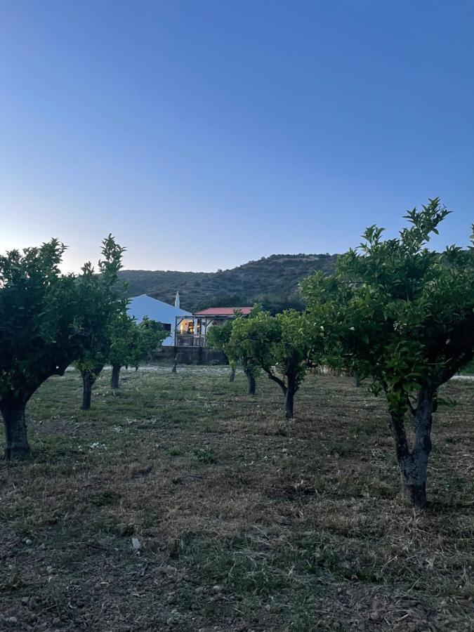 Quinta Da Boa Sorte إيستوا المظهر الخارجي الصورة