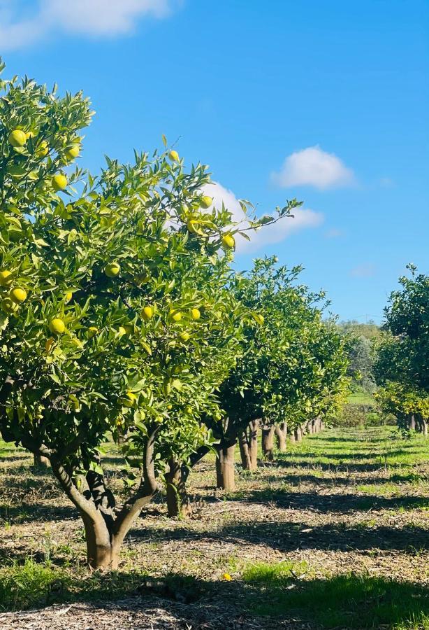 Quinta Da Boa Sorte إيستوا المظهر الخارجي الصورة